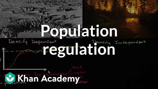 Population regulation  Ecology  Khan Academy [upl. by Krall]