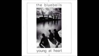 The Bluebells  1984  Young At Heart [upl. by Hardden]