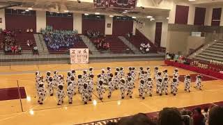 Dance Team Performs Routine Dressed as Cows  985449 [upl. by Etteiram]