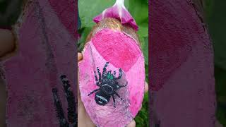 Jumping Spider Painting Natures Finest Art [upl. by Assilev285]