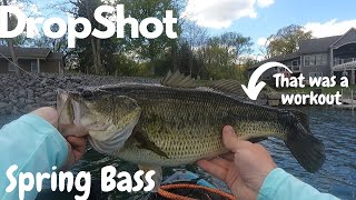 Dropshoting leads to massive spring bass Otisco Lake [upl. by Marjana955]