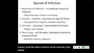 144 Disease Spread [upl. by Nathalia]