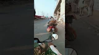 Jhaka back bike 🚳 trending ytshorts shorts [upl. by Ahtar]