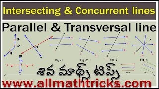 Types of Lines  Intersecting and Concurrent lines in telugu  Parallel Lines and transversal line [upl. by Akiv]