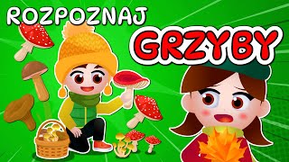 🍄 Kazio i TEST GRZYBIARZA  Grzybobranie dla dzieci  Rozpoznawanie grzybów 🍄 [upl. by Jacquelyn414]