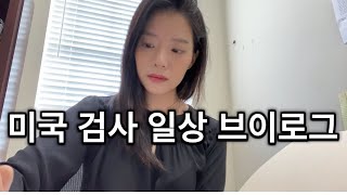 미국 검사 일상 브이로그 Work Week Vlog  재판 없는 일주일 [upl. by Pyle]