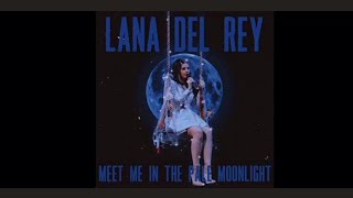 Meet Me In The Pale Moonlight origanal Lana Del Ray [upl. by Danica]