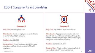 Workplace Spotlight EEO1 Reporting Update [upl. by Gazo]