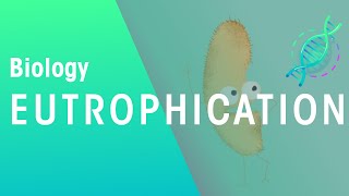 What Is Eutrophication  Agriculture  Biology  FuseSchool [upl. by Ihcas]