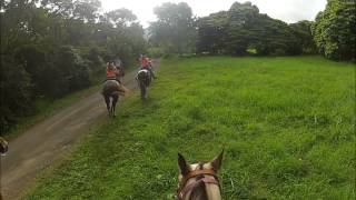 EXTREME horseback riding fun in HAWAII Ride It Like You Stole It [upl. by Nilya]