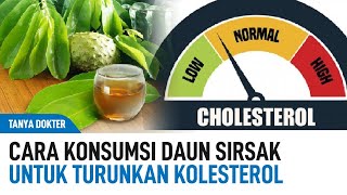 Cara Mengkonsumsi Daun Sirsak Yang Benar Agar Kolesterol Turun  Kata Dokter [upl. by Sirovat277]