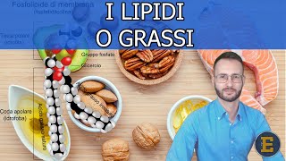 006 I Lipidi livello base [upl. by Naesad]