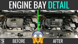 HOW TO CLEAN YOUR ENGINE BAY  EASY TUTORIAL [upl. by Etteuqram]