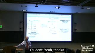 EGFR Epidermal Growth Factor Receptor a transglutaminase substrate and cancer by Kevin Ahern [upl. by Iat]