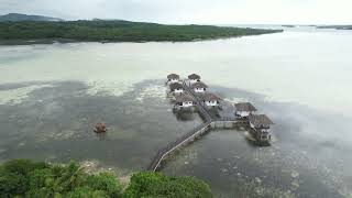 Drone Aerial video of the famous Para Nuii in the island garden of Pohnpei Ponape State FSM [upl. by Groves]