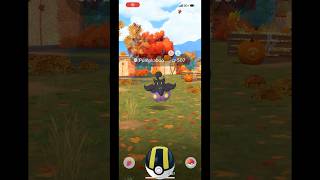 Shiny costume pumkaboo pokemongo shiny pokemon costumeshiny [upl. by Refannej]