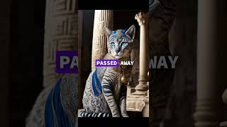 Ancient egyptians and cats🇪🇬 viral story shorts ancienthistory [upl. by Enoyrt]