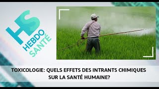 Toxicologie quels effets des intrants chimiques sur la santé humaine [upl. by Nitsir819]