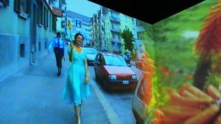 Pipilotti Rist  Ever Is Over All excerpt [upl. by Ahsam153]