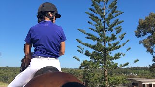 Dressage Novice 2A 2019 Aus USEF First level test 1 655 Arthritis of the hocks [upl. by Lebazi]