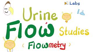 Urinary Incontinence amp Urine retention  Urine flow studies Flowmetry  Urodynamic StudiesUrology [upl. by Fantasia523]