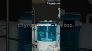 quotTap Water vs Thyroid Health Must Know Factsquot [upl. by Bright]