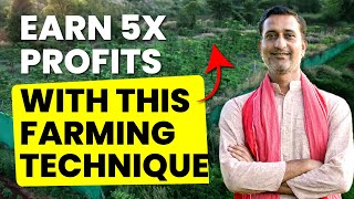 A farming technique that will make you rich  Multi Layer Farming  SSIAST  Art of Living [upl. by Rather]