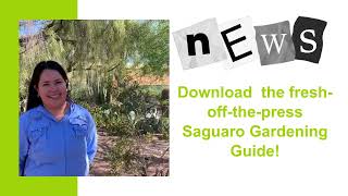 Three Tips on How to Nurture Saguaros [upl. by Aicats]