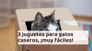 3 juguetes para gatos caseros ¡muy fáciles [upl. by Dadivitan]