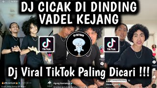 DJ CICAK CICAK DI DINDING VADEL TREND DANCE VADEL  RYAN WDF X DJ NASA X VINSKY VIRAL TIKTOK TERBARU [upl. by Yemerej388]