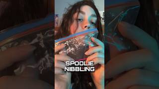 ASMR SPOOLIE NIBBLING asmr shorts [upl. by Soneson]