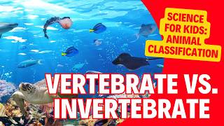 The Animal Kingdom Classification of Vertebrates amp Invertebrates  Kids Science Lesson [upl. by Chasse190]