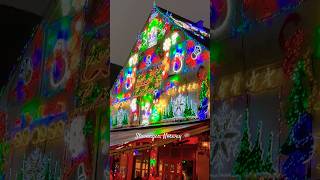 Christmas lights on the bar facades of Stavanger in Norway 🇳🇴 [upl. by Peggir]