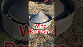 Farm life is full of surprises wind damage farmlife goatfarming livestock oldbarns cupola [upl. by Dibbell]