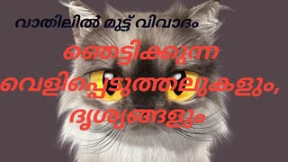 വാതിലിൽ മുട്ട് വിവാദം വീണ്ടുംഇവന്മാരൊക്കെ എന്താ ഇങ്ങനെ [upl. by Aiehtela471]