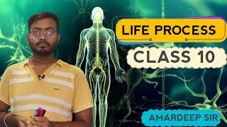 Life process ll class 10 Biology ll Part 02 [upl. by Alphonso]