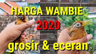 Harga wambie 2020 burung kicau dapitlovebird [upl. by Osmund]