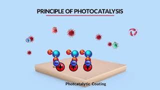 How Photocatalysis works with TiO2 [upl. by Amilah]