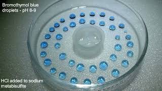 Bromothymol Colour Change  Sulfur Dioxide [upl. by Paske]