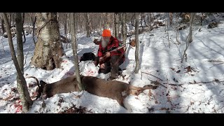 200 Pound Vermont Buck Tracking 2023 [upl. by Robbyn558]