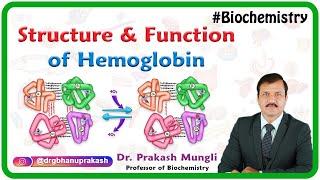 Structure and function of hemoglobin [upl. by Axe]