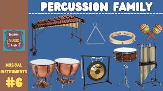 PERCUSSION FAMILY  INSTRUMENTS OF THE ORCHESTRA  LESSON 6  LEARNING MUSIC HUB  ORCHESTRA [upl. by Rie371]