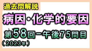 【過去問解説：第58回国家試験午後75問目】病因・化学的要因【理学療法士・作業療法士】 [upl. by Head]