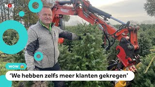 Duizenden vernielde kerstbomen toch verkocht [upl. by Reedy]