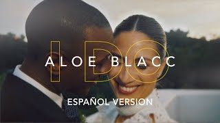 Aloe Blacc  I Do Español [upl. by Nahij]