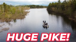 Northern Pike Fishing  Adirondacks NY [upl. by Aleta123]