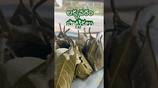 లక్కవరం పొట్టికలు tiffin tiffinrecipe eastgodavari lakkavaram tastyfood makingvideos [upl. by Dnana]