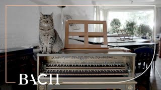 Bach  WTC I Prelude and fugue no 14 in Fsharp minor BWV 859  Ogg  Netherlands Bach Society [upl. by Annodahs]