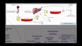 Dyslipidemia Concept Map HD [upl. by Ahsimrac]