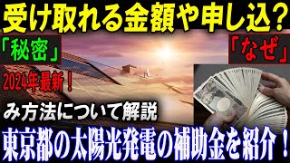 【2024年最新版】知らなきゃ損！東京都の太陽光発電補助金、あなたはいくらもらえる？ [upl. by Nnahtebazile]